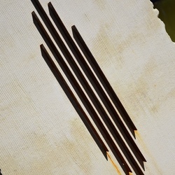 2017-03 New Zealand/Rotorua/DSC_0068.JPG